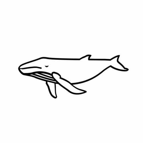 PREMIERE: Patch the Whale - Tearz (Side B)