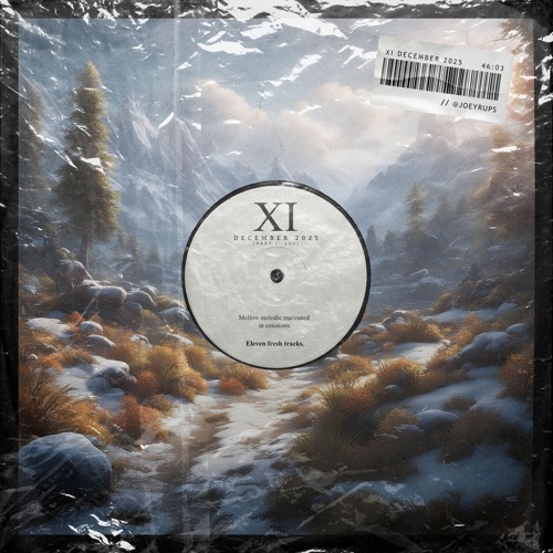 XI - December 2025 (Part 1: Luc)