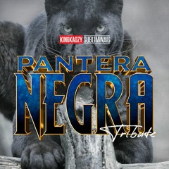 Psico Libertare's PANTERA NEGRA ✖️ | A BELEZA ENIGMÁTICA E A IMPONÊNCIA DO ARQUÉTIPO