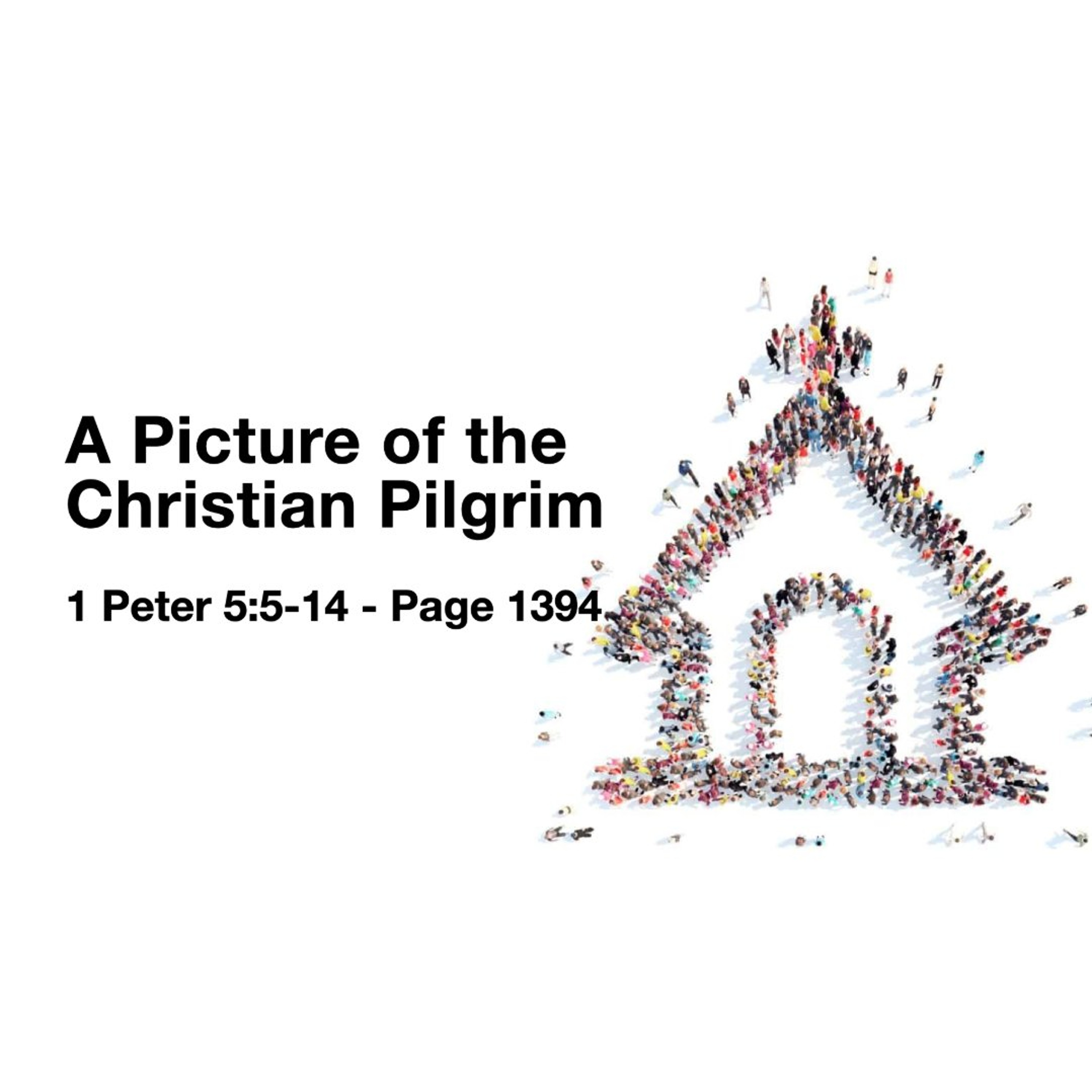 8-2-2026 A Picture Of The Christian Pilgrim episode artwork