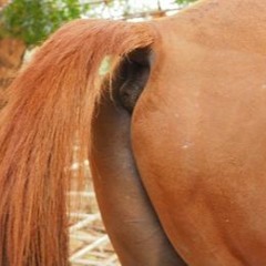 Don't - Try - To - Change - My - Password - You - Horse's - Ass