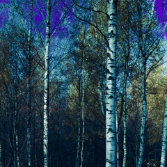 ooes - rights (Arina Krondeva Edit) [TK MASTER]