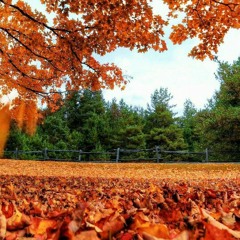 No prometio Dios.mp3