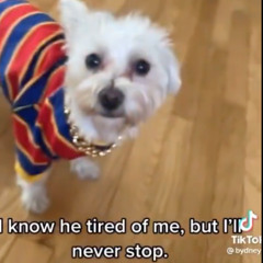 Lil' Burt and Ernie Shirt