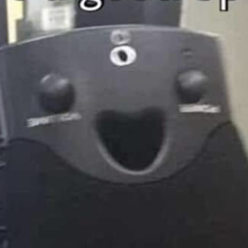 TECHNO FLEX ET VISITEURS __