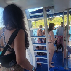 HOG - GOODIE - MUSIC - IAAH 8NOV24