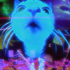 Kitty Kat - @Distance @TameCheetahBeats
