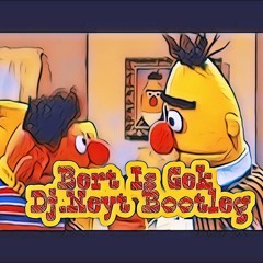 Bert Is Gek (Dj.neyt Bootleg)