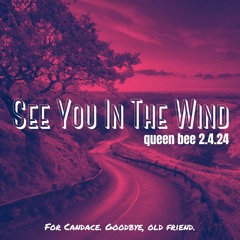 See You In The Wind - Part I of II