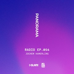 054 - PANORAMA Radio - Jochem Hamerling