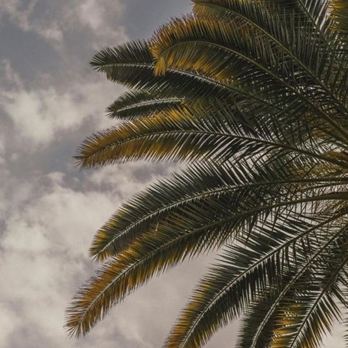 شيلة أنا أصدق || بطئ || خذني على قد حبي لك || فهد