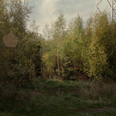 Monodisc - Green Leaves (new EP is out!)