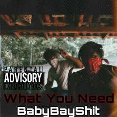 BabyBayShit - What You Need