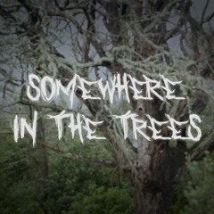 Somewhere In The Trees