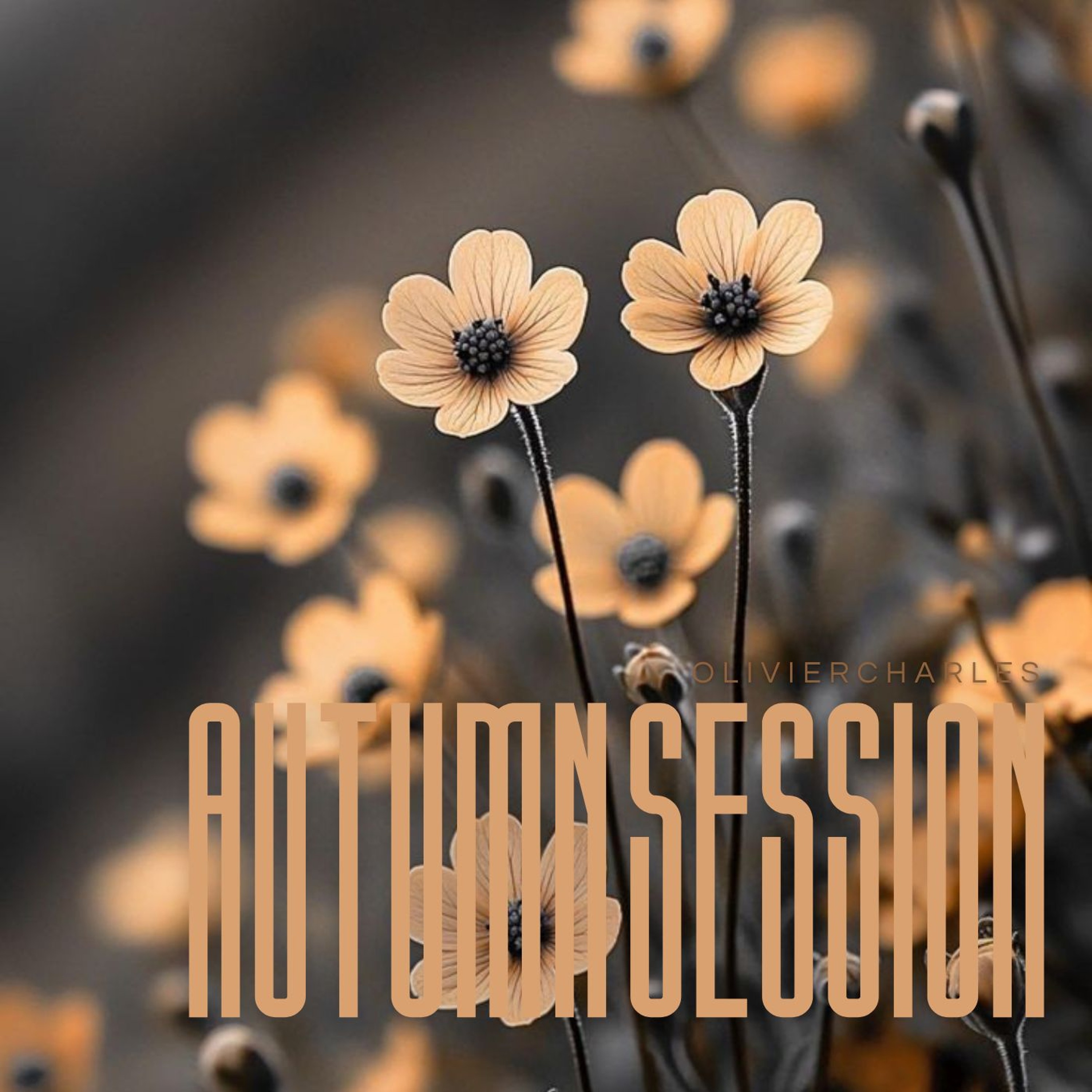 AutUmN SeSSioN