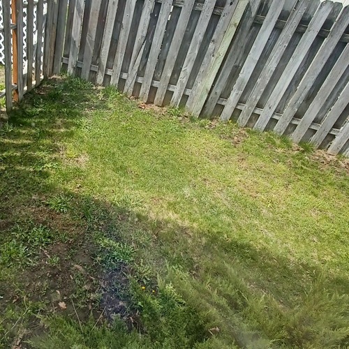 +2k21+ alongthafence by b#iiitch #📚