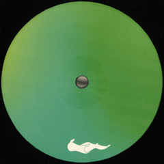 B2 - Fractures