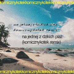 Na Jednej Z Dzikich Plaż (komicznykotek remix)