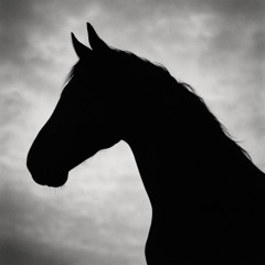 Open Up / Let Go (demo)