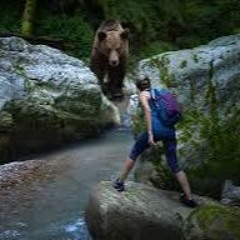 On the Corner: Encounters with WIld Animals and Bad Decisions 09-08-2025