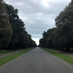 A Chéile (An Original Poem)