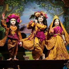 Aravind - TNK At The Bhakti Center - 1.6.23