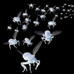 The Doom Of The Swarm