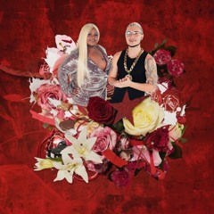 PinkPantheress, Puterrier, MC Carol - Vou Investir Em Uma Girl Like Você