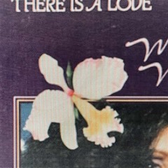There is maria （cassette sim flip）