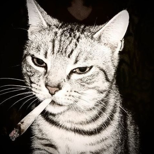 Love, Death & Robots Remix - Acapella Westside Gunn Ft Conway The Machine ( Dunks )