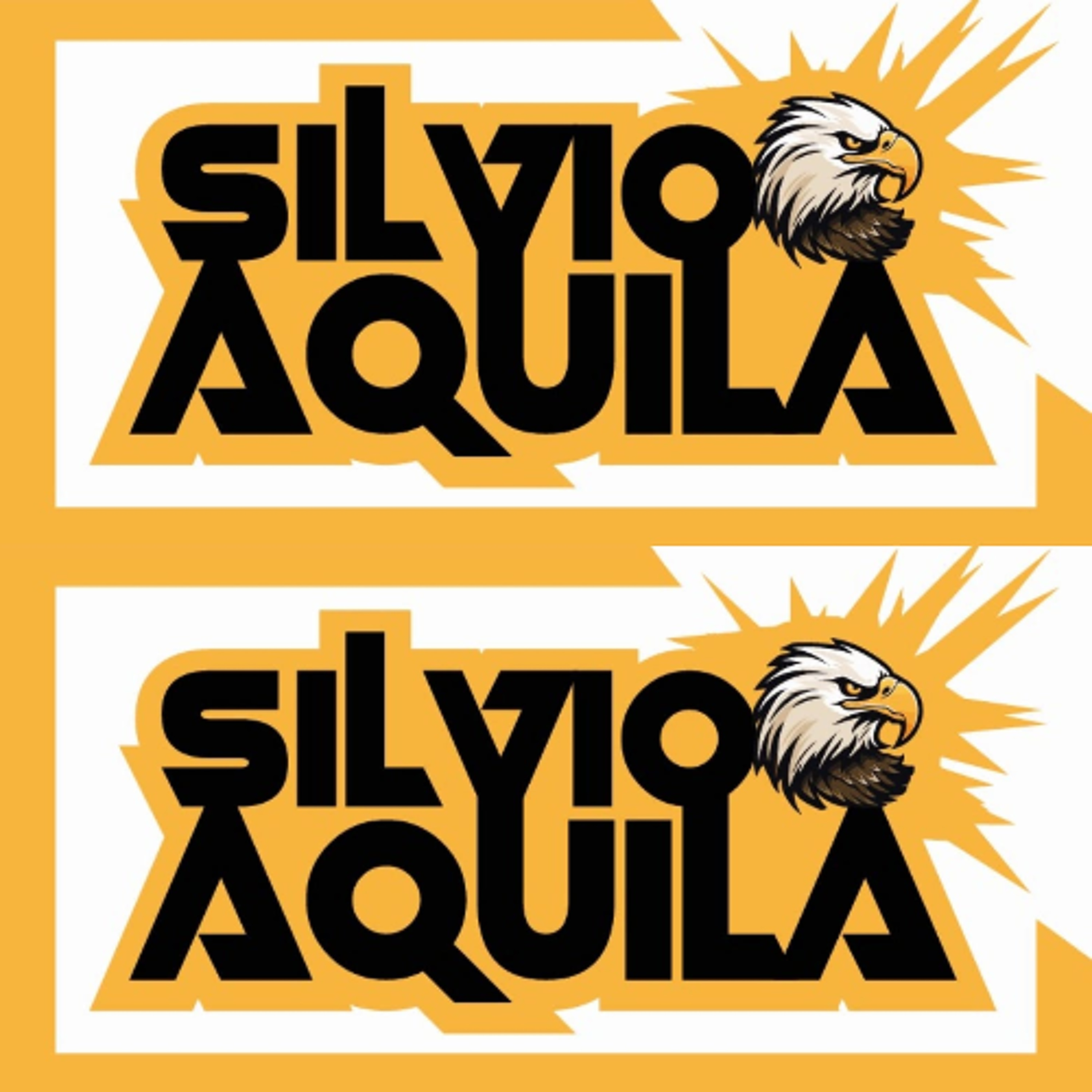 Silvio Aquila