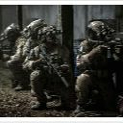 Zero dark thirty stream sales