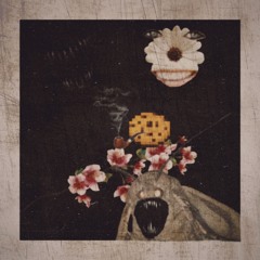 CONFESSIONS IN A COFFIN (prod. Yamis Sin)