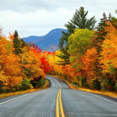 Fall