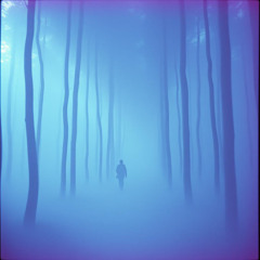 Resonant Veil