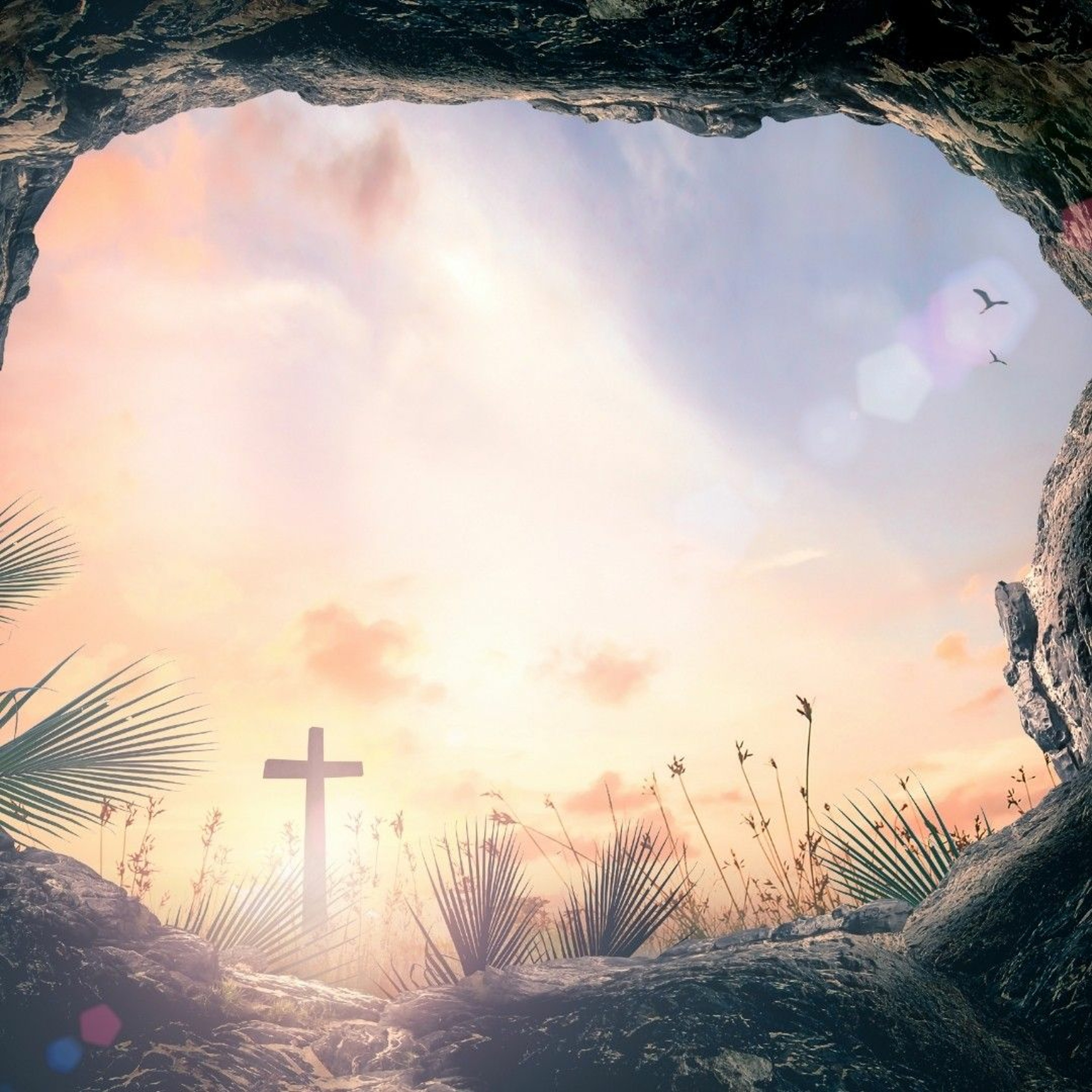Swallowed up by life. 2 Corinthians 4:16-5:8. Ps Gary Fitzgerald. KWCF. Sun 4 Apr 2021 episode artwork