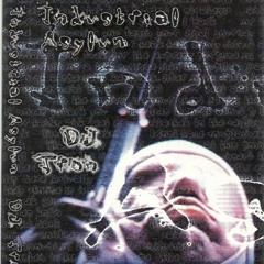 DJ Tron – Industrial Asylum - 1998