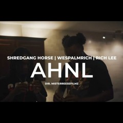 AHNL Ft Shredgang Horse & Rich Lee