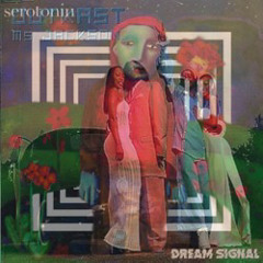 Girl in Red - Serotonin (Dream Signal) x OutKast (DJ JT FLIP)