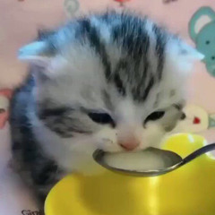 milk - f(x)