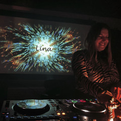 LINA @ Synapsen Safari 6 Acid Techno Hard Techno Set