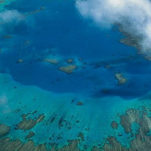 الشيخ ياسر الشرقاوى ورائعة سورة النساء