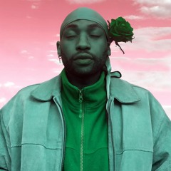 Mr Pigeons -  Juana Rose