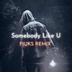 Alan Walker, SOMEBODY LIKE U (F1UKS Remix)