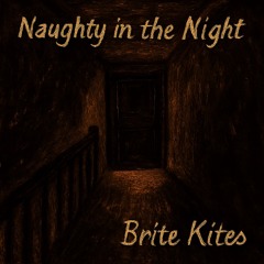 Naughty in the Night