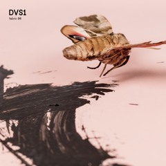 Fly Guy (Mixed)