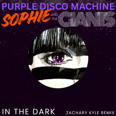 Purple Disco Machine, Sophie and the Giants - In The Dark (Zachary Kyle Remix)
