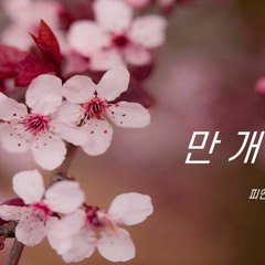 [화산귀환 OST] 안예은 - 만개화 | COVER by 피앤