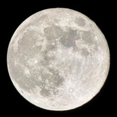 Beautiful Recitation from Surah Al-Baqarah in Maqam Ajam | Sheikh Yasser Dossary.mp3