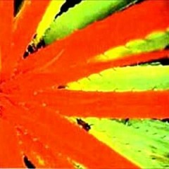 Jejune - Same To You